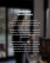 Gut Balance